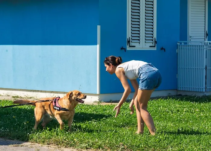 Casa Celeste Sul Mare Διαμέρισμα *
